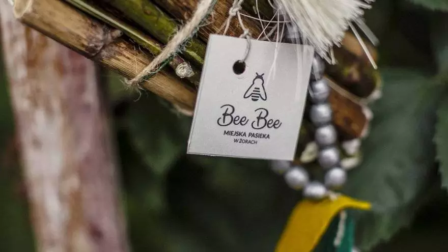 Przed nami Piknik Integracyjny w pasiece Bee Bee / fot. MOK Żory