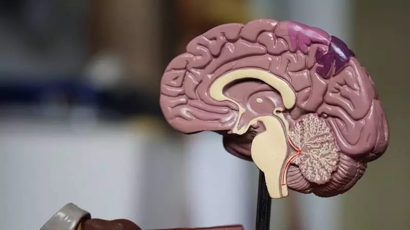 Ryzyko udaru mózgu u seniorów z COVID-19 najwyższe w trzech pierwszych dniach po diagnozie
