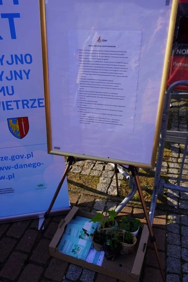 Na rynku w Żorach stanęła instalacja „smogowych płuc” – symbol walki z zanieczyszczeniem powietrza. Sprawdź program wydarzeń i dowiedz się, jak możesz poprawić jakość powietrza / fot. UM Żory