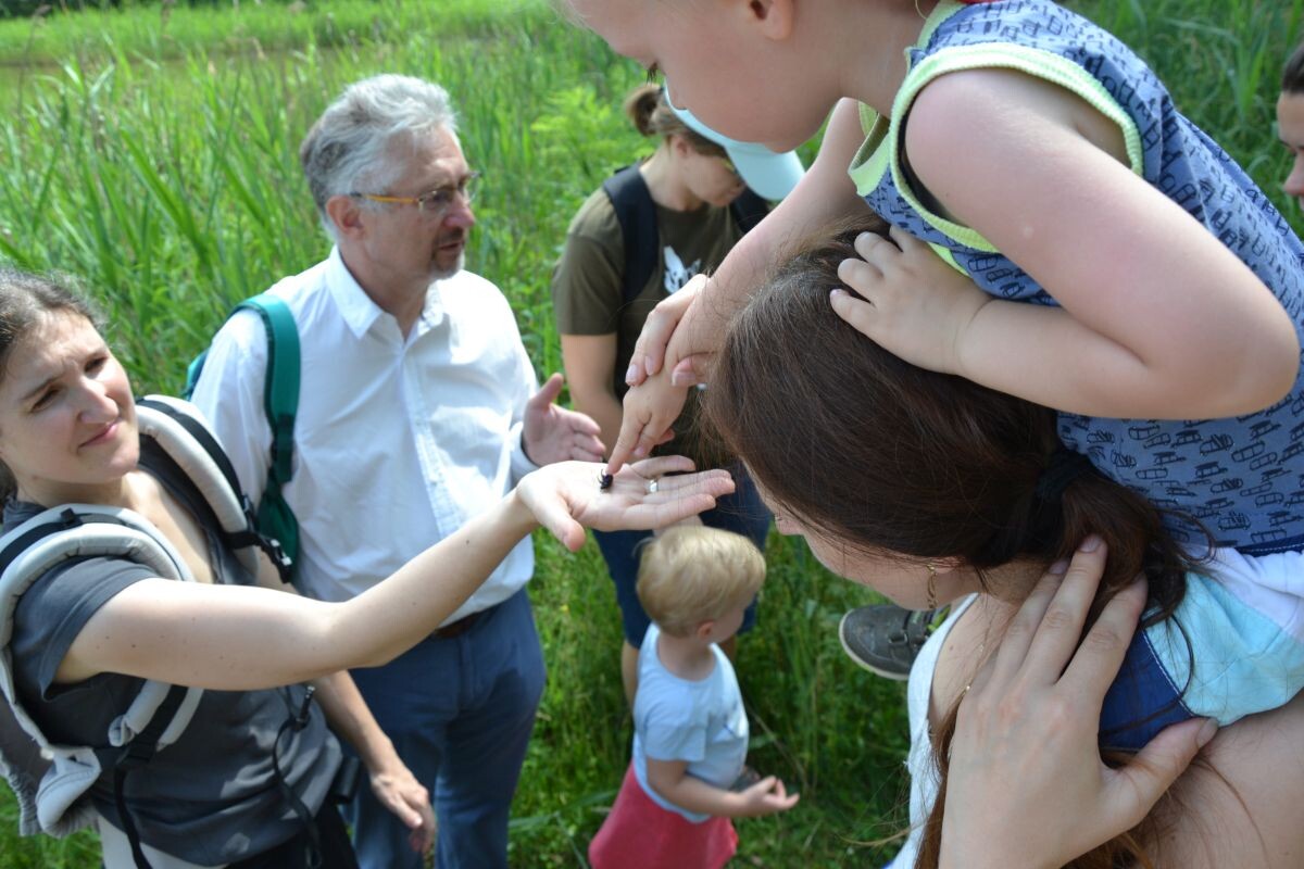 Żuk udający martwego