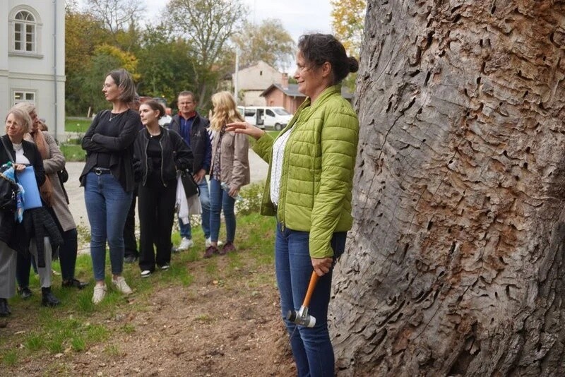Z okazji obchodów Światowego Dnia Drzewa w Żorach zorganizowano wyjątkowe spotkanie warsztatowe w malowniczych wnętrzach Pałacu w Baranowicach / fot. UM Żory