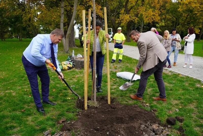 Z okazji obchodów Światowego Dnia Drzewa w Żorach zorganizowano wyjątkowe spotkanie warsztatowe w malowniczych wnętrzach Pałacu w Baranowicach / fot. UM Żory
