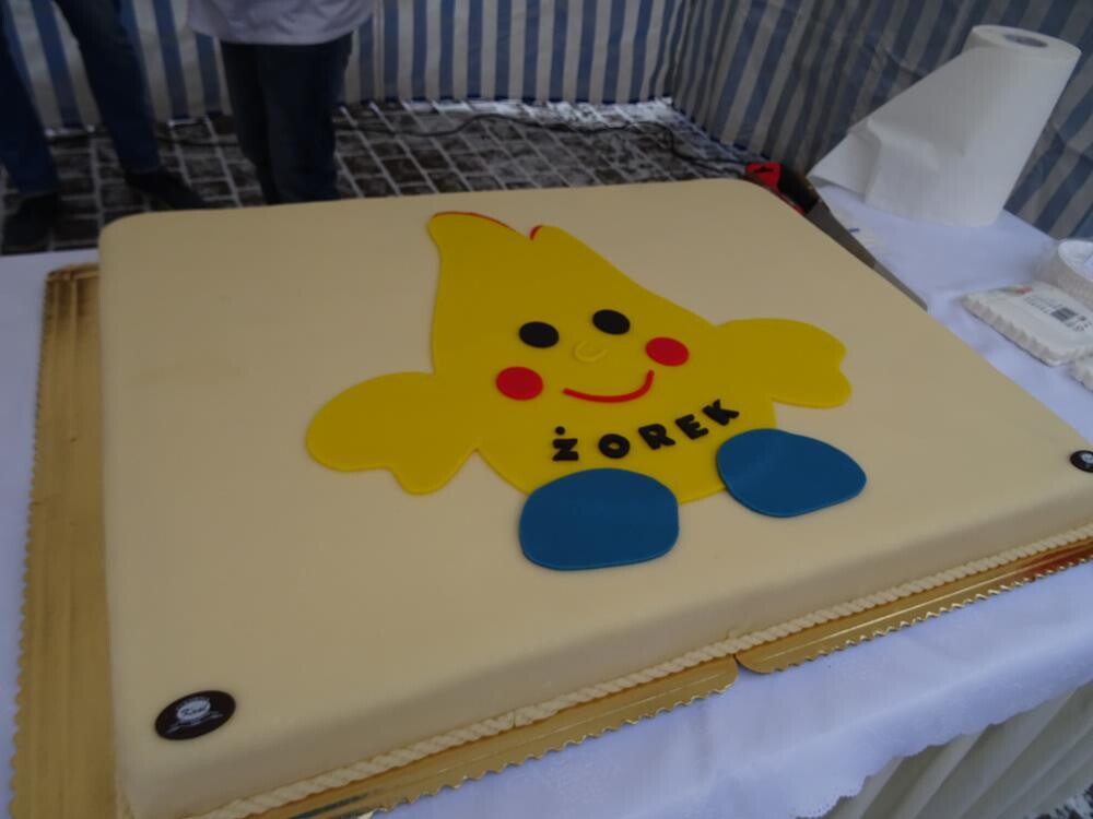 W ostatnią niedzielę na rynku świętowaliśmy 746. Urodziny Miasta Żory. Zobaczcie zdjęcia z imprezy!