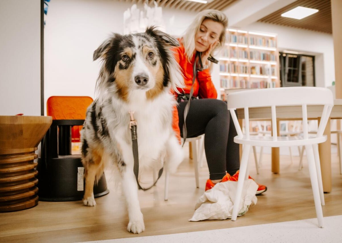 11 października 2024 r. Miejska Biblioteka Publiczna w Żorach wzięła udział w jubileuszowej edycji Ogólnopolskiej Nocy Bibliotek, która odbyła się pod hasłem „MOC Bibliotek” / fot. MBP Żory